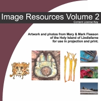 Image Resources - Volume 2 - Download