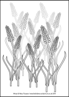 Wheat - Multicoloured Seasons - Downloadable / Printable - Colouring Sheet